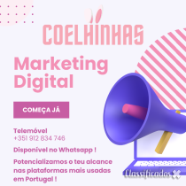 Coelhinhas - Agência de Marketing Digital