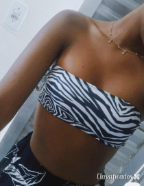 ⭐️ PRAZER & LOUCURA ⭐️