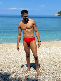 Latino tesudo